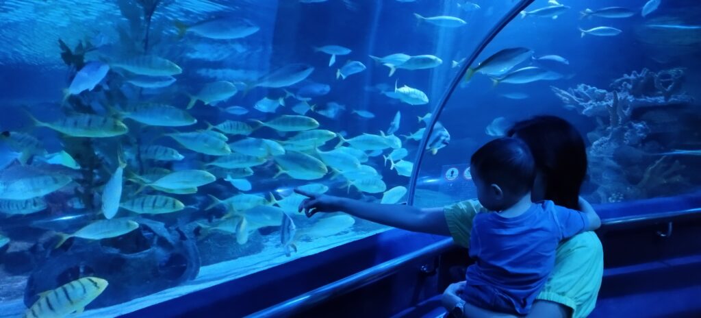 underwater-tunnel-aquaria-klcc