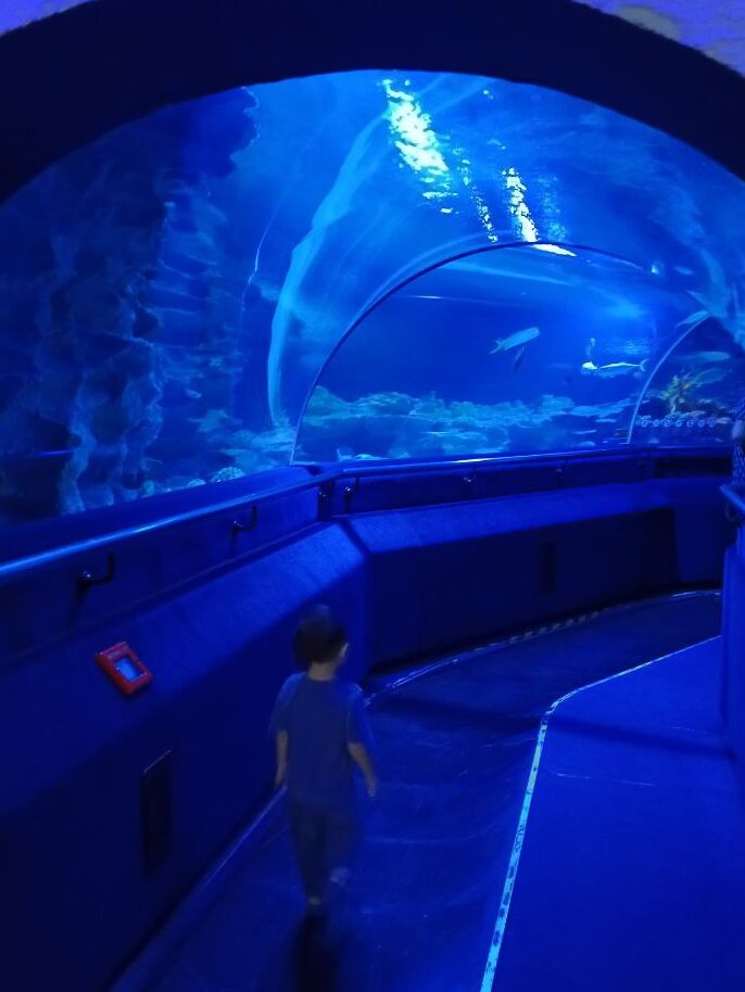 underwater-tunnel-aquaria-klcc-malaysia