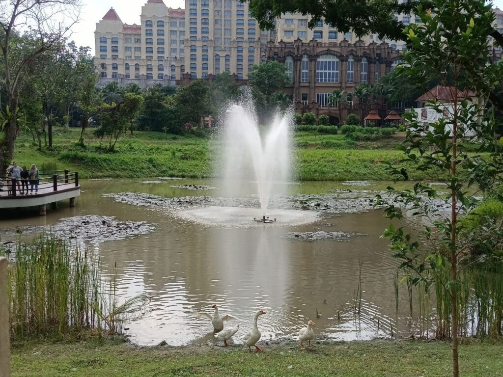 lake-central-park-ioi-resort-city