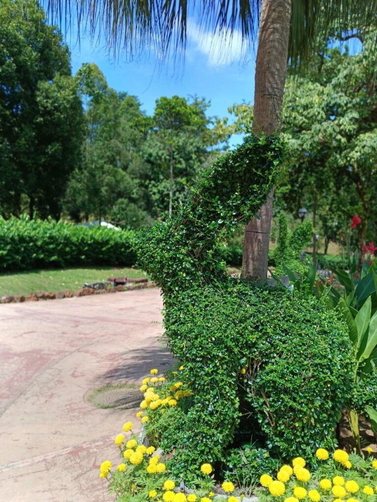 rabbit-grass-sculptor-putrajaya-botanical-garden