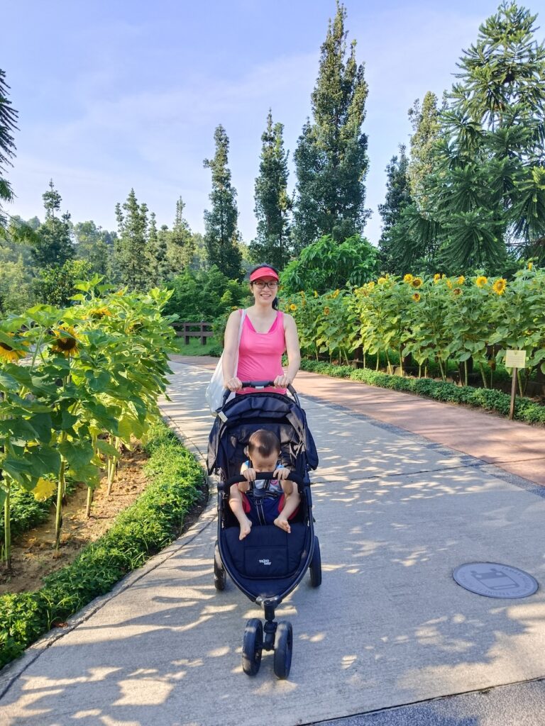 taman-saujana-hijau-sunflowers